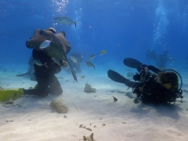 011 Steve at Stingray City IMG 5940